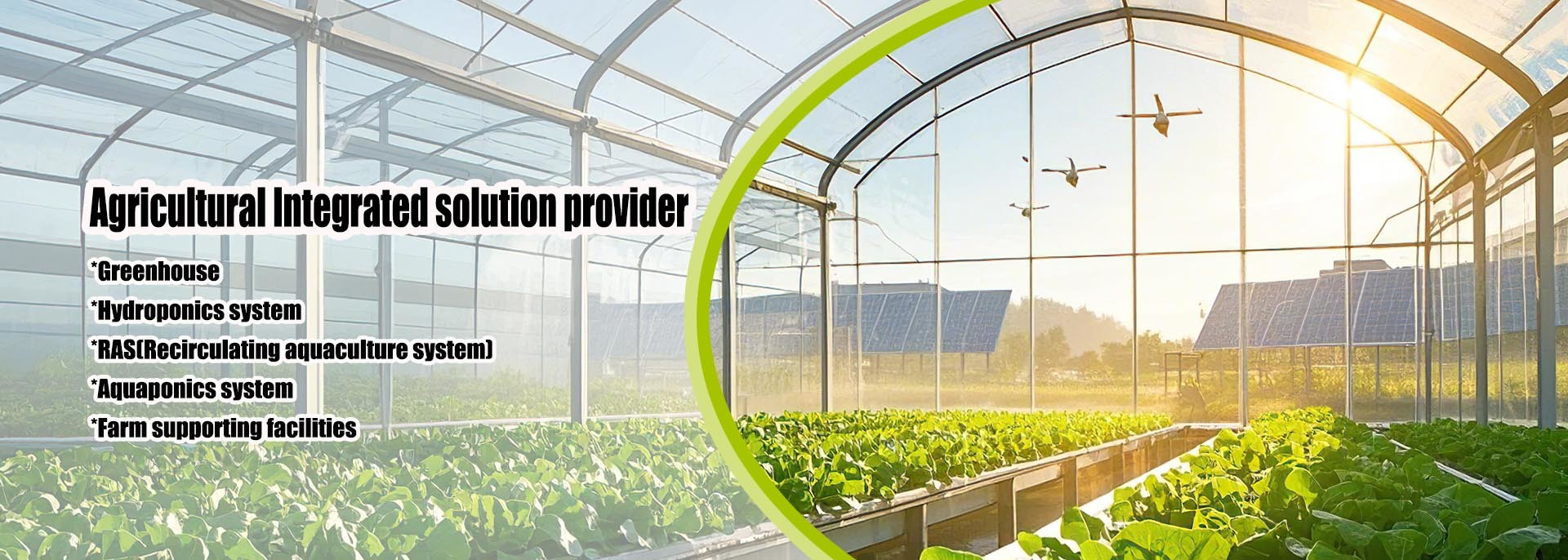 Quality Small Greenhouse factory