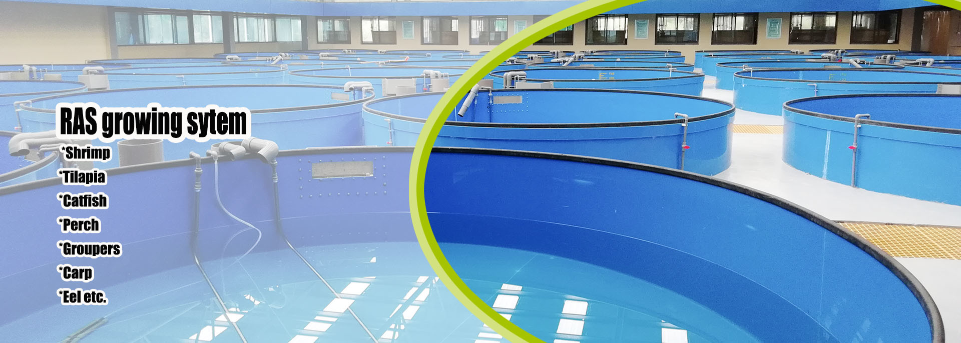 Quality Small Greenhouse factory