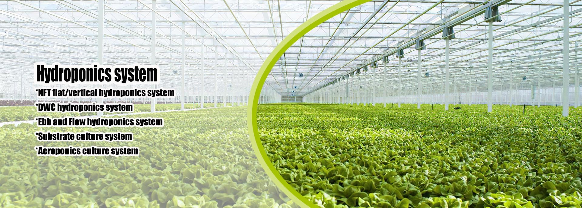 Quality Small Greenhouse factory