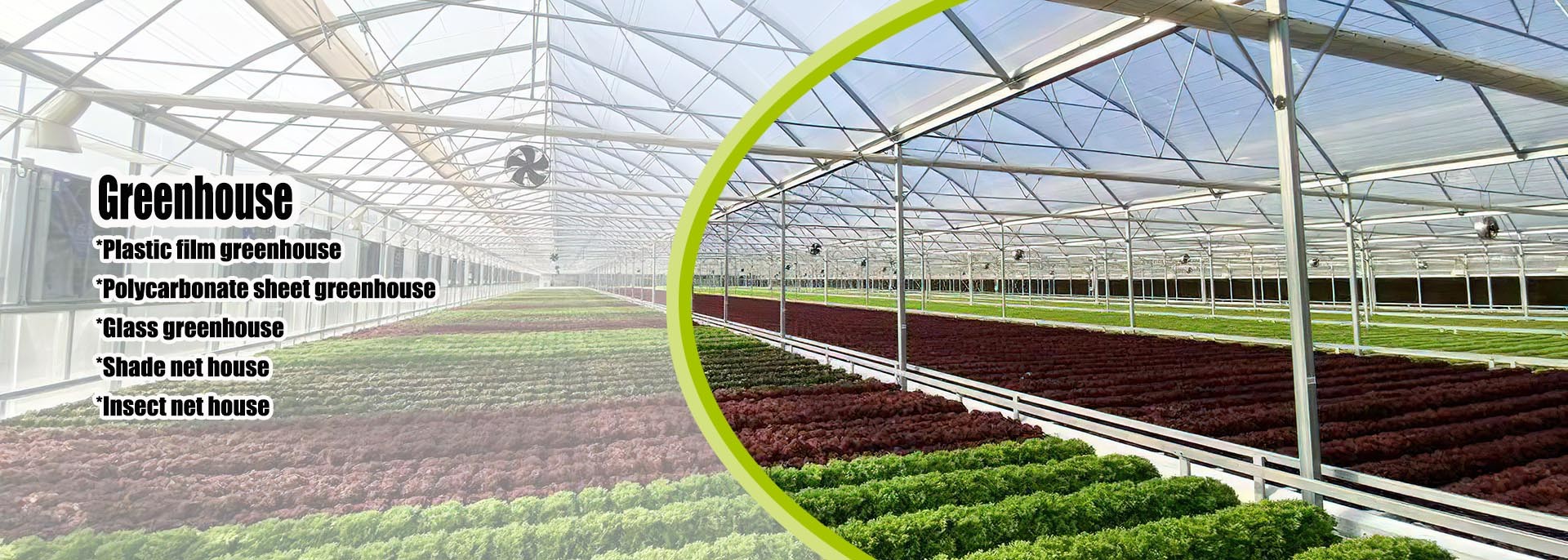 Quality Small Greenhouse factory