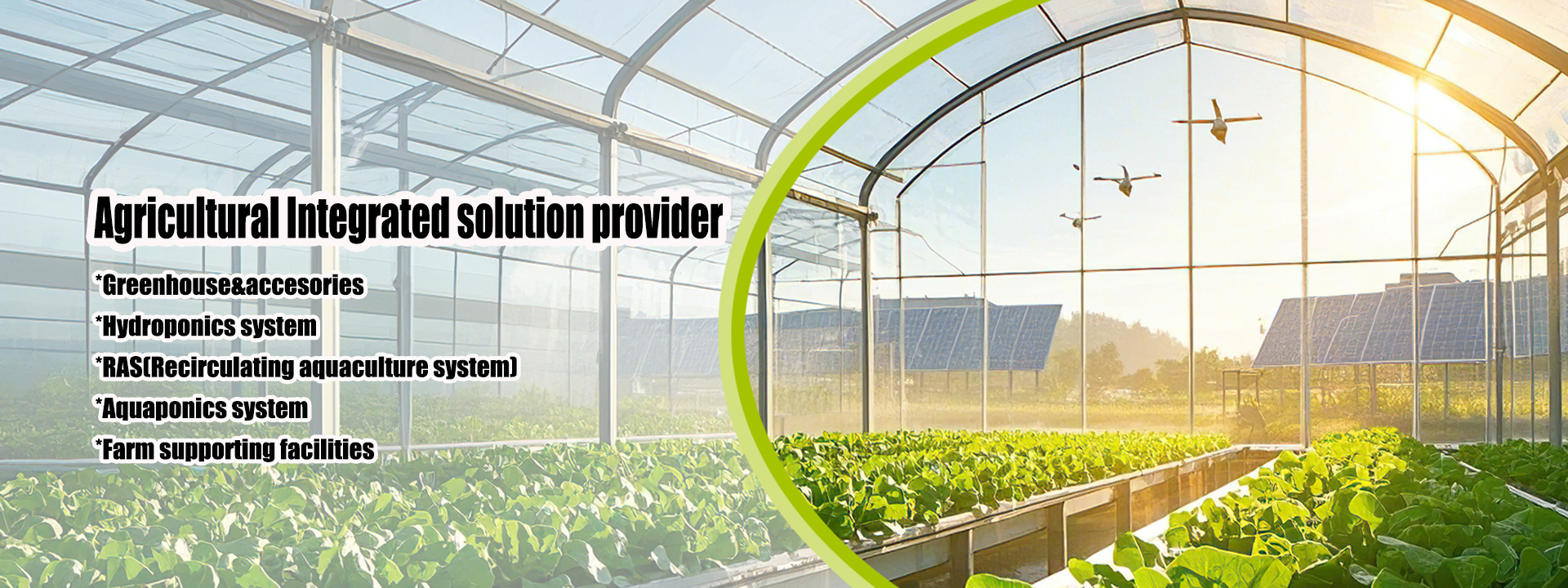 Quality Small Greenhouse factory