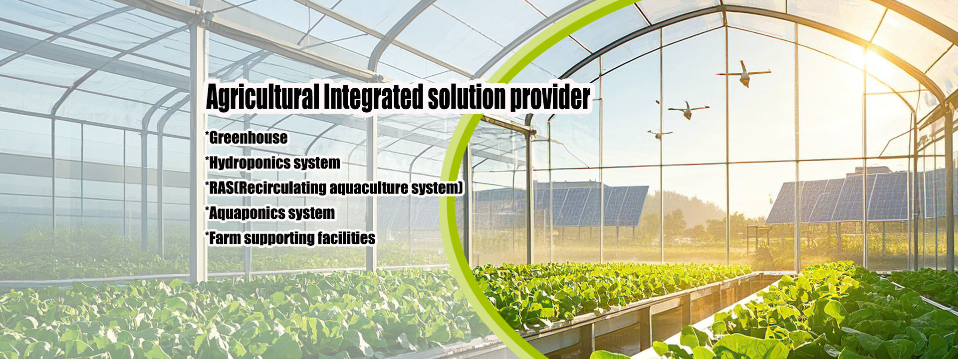 Quality Small Greenhouse factory