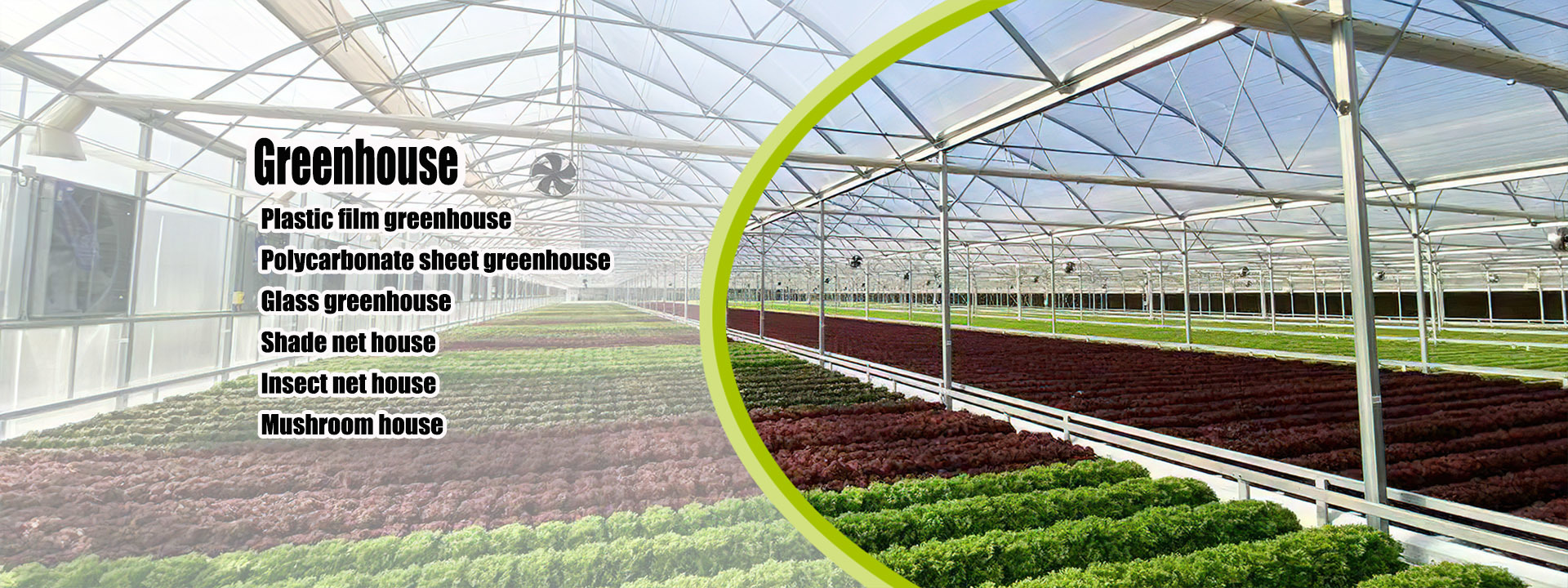 Quality Small Greenhouse factory