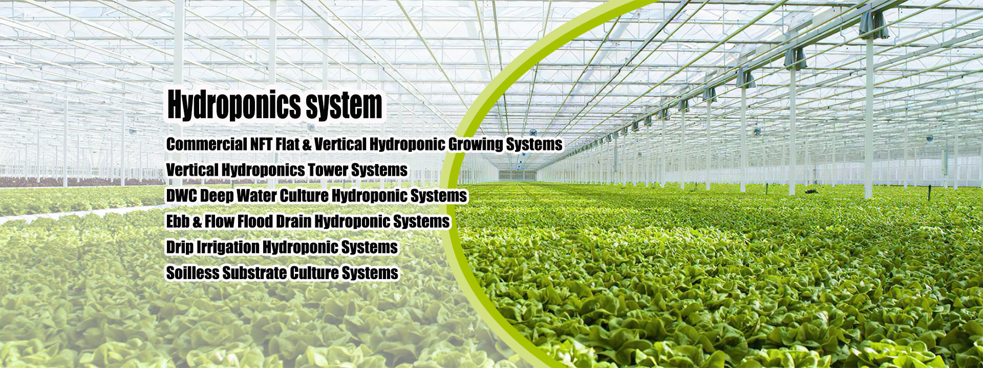 Quality Small Greenhouse factory