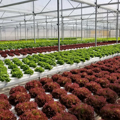 خرید سیستم رشد Nft تراکم بالا، تکنیک فیلم مغذی، سیستم هیدروپونیک online manufacture
