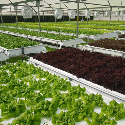 購入 効率的な深水栽培 植樹台付き 商業用 植樹台システム 藻類対策 online manufacture