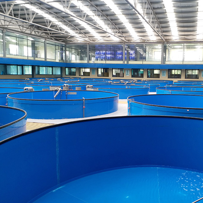 Buy Temperature Controllable High Density Recirculated Aquaculture System RAS Farming System online manufacture