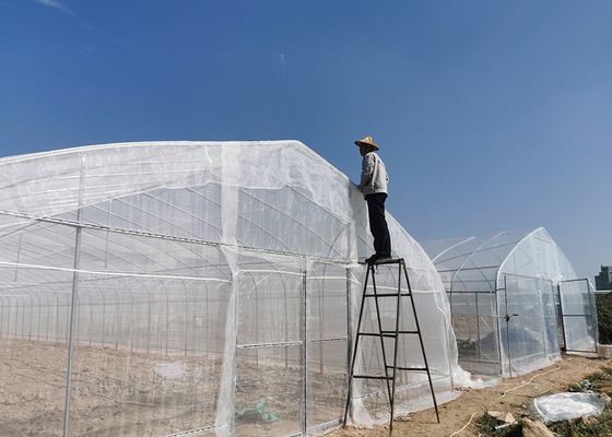 acheter Pièces en acier galvanisé en PEHD pour jardinage de semis de légumes online manufacture