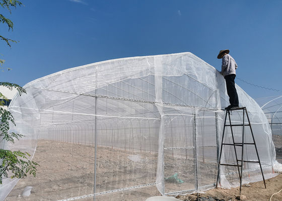 comprar Invernadero de Valor 8x6 Resistente a la Intemperie y a los Rayos UV para Jardinería Comercial y Doméstica online manufacture