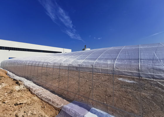 Buy 8x6 Value Greenhouse Weatherproof UV-Resistant for Commercial & Home Gardening online manufacture