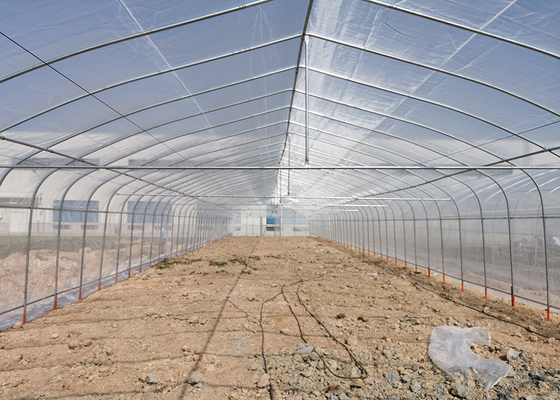 Buy Economical Easy Installation Polycarbonate Greenhouse Kits Heavy Duty Poly Tunnel online manufacture