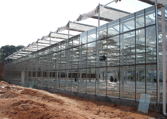 comprar Invernaderos galvanizados VENLO transparentes y fáciles de montar para una agricultura eficiente y de alto valor online manufacture