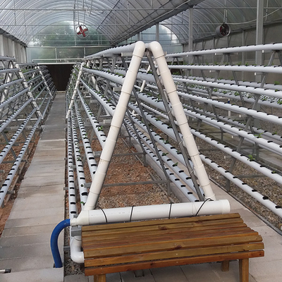 kaufen Wassereffizientes NFT-Hydroponiksystem mit automatisiertem Management online manufacture
