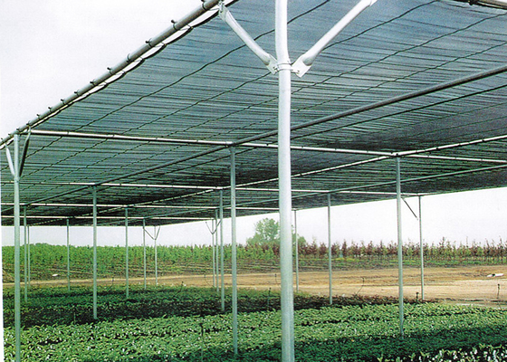 خرید خانه سایه ای محافظت از حشرات گلخانه باغ خانه سایه ای online manufacture