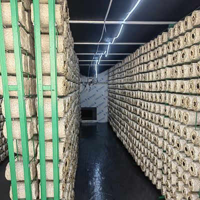comprare Sistema di coltivazione di funghi pieghevole in contenitore Facile installazione Senza fondazione online manufacture