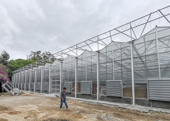 Mua Nhà kính polycarbonate Multi Span cho khí hậu nóng 12 mét rộng online manufacture