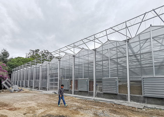 Mua Nhà kính thông minh đa nhịp polycarbonate cho khí hậu nóng, rộng 12 mét online manufacture
