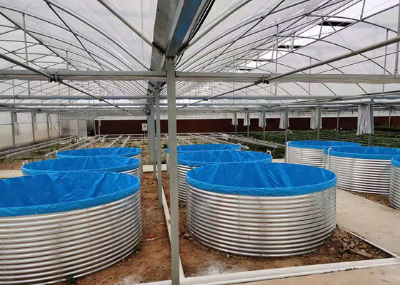 comprar Sistema industrial de aquicultura de recirculação em ambientes fechados 7 kg/m3 Densidade de camarão 30% de crescimento mais rápido online manufacture