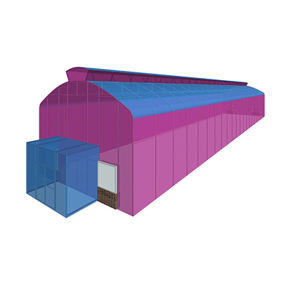 kopen Insectenbestendige single span kas met hoog dak vaste ramen groen poly huis online manufacture