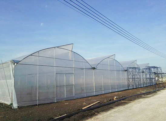 ซื้อ โพลี มัลติ สเปน สต๊อปเฮาส์ พร้อมอากาศหลังคา 10-60 เมตร online manufacture