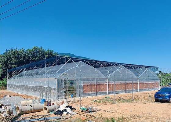 acheter Structure en polyéthylène durable à serre à longue portée avec système de ventilation manuel ou motorisé online manufacture