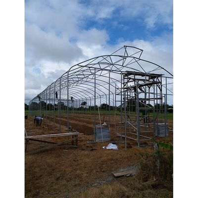 kopen Parapluvormige grootschalige prefab-kweekhuizen voor landbouw met warm gedompeld gegalvaniseerd staalframe online manufacture
