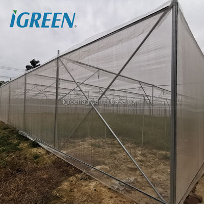 satın al Büyük Çok Açıklıklı Tarımsal Sera Kuş Ağı Gölgeleme Ağı Böcek Ağı Tarım Ekipmanları online manufacture