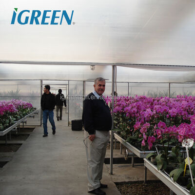 comprare Grande telaio in acciaio galvanizzato a una sola fascia serra commerciale per fiori di orchidee con copertura in pellicola PE online manufacture
