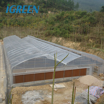comprar Vegetais Agrícolas Estufas de grande porte com filme PE galvanizado a quente Estrutura de aço galvanizado Sistema de irrigação Fujian online manufacture