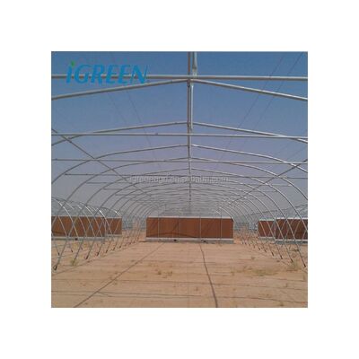 comprar Estufa de Metal de Baixo Custo para Cultivo de Vegetais online manufacture