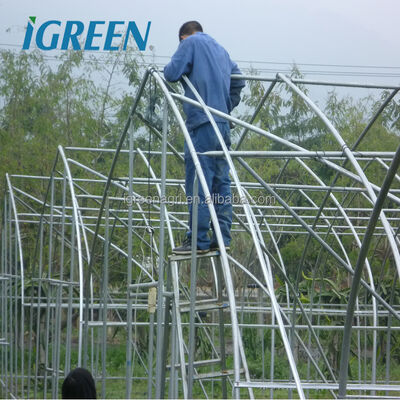 Buy Low Cost China Wholesale Tunnel Greenhouse For Year Round Crop Growth And Resource Management online manufacture