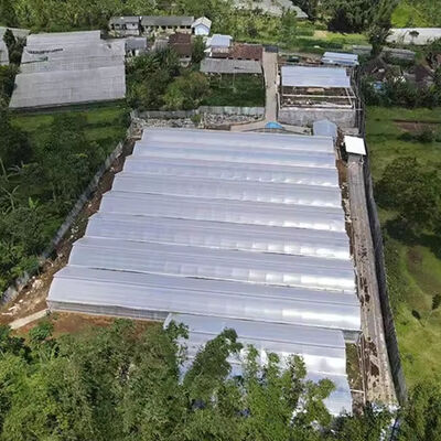 kaufen Wachstumshaus Einläufer großer PE-Landwirtschaftsgewächshaus mit Klimakontrolle online manufacture