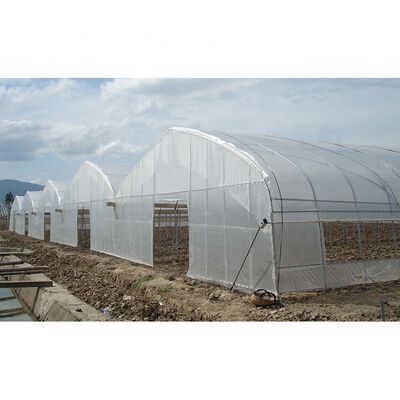 kupować IGREEN AGRICULTURAL GREENHOUSE FOR TOMATO AGRICULTURAL AGRICULTURAL AGRICULTURAL AGRICULTURAL AGRICULTURAL AGRICULTURAL AGRICULTURAL AGRICULTURAL AGRICULTURAL AGRICULTURAL AGRICULTURAL AGRICULTURAL AGRICULTURAL AGRICULTURAL AGRICULTURAL AGRICULTURAL AGRICULTURAL AGRICULTURAL AGRICULTURAL AGRICULTURAL AGRICULTURAL AGRICULTURAL AGRICULTURAL AGRICULTURAL AGRICULTURAL AGRICULTURAL online manufacture