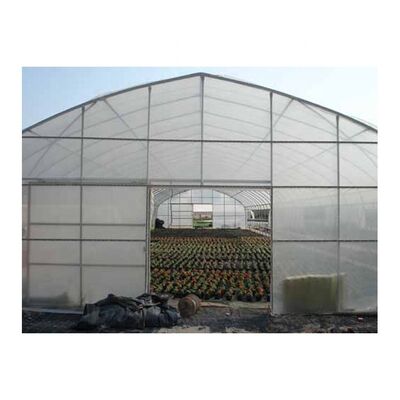 comprare IGreens Greenhouse Plastic Agricultural Polycarbonate Greenhouse Metal Plastic Film Large online manufacture