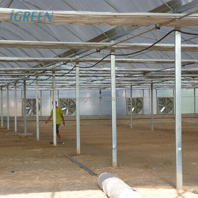 kopen 30 X 100 Kas Groen Kas voor Groentetuin Chinese Kas Kit Aangepaste Film Grote Kas Metalen Frame 4m--7m online manufacture