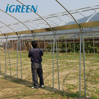 Buy IGreen Multi-Span Agricultural Greenhouses Large Single PE Material Film Cover for Flowers and Vegetables Growing online manufacture