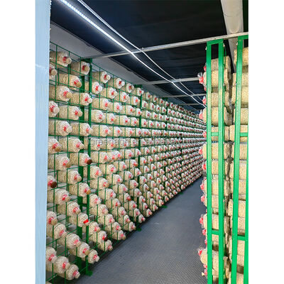 Buy Mushroom Growing Equipment Portable Houses for Mushroom Cultivation Mushroom Grow House online manufacture