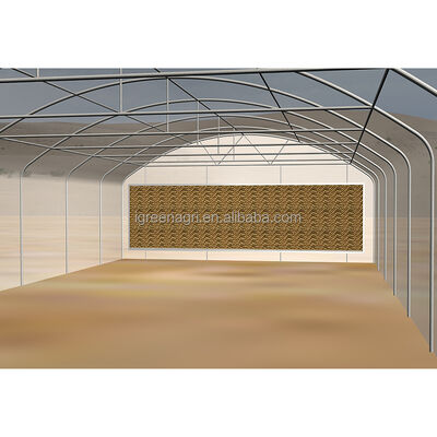 ซื้อ IGreen Green House โครงงานเรือนกระจกก้อนโลหะสําหรับ Desert Rose ร้านกระจกตะวันออกกลาง online manufacture