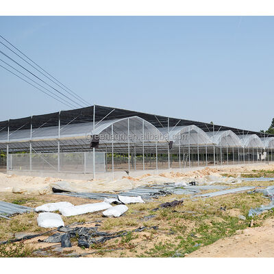 Buy IGreen Industrial Greenhouse Irrigation System Greenhouse For Snail Farming online manufacture