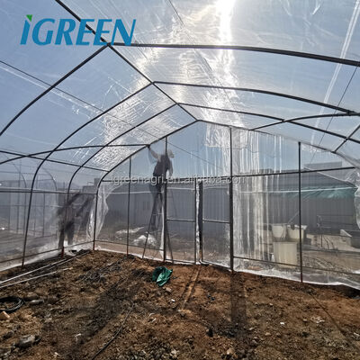 kopen IGREEN Kleine Enkelvoudige PE Kas met Warmbad Verzinkte Stalen Structuur voor Agrarisch Gebruik online manufacture