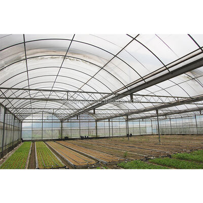 شراء IGREEN الدفيئة البلاستيكية الكبيرة متعددة الفترات للنباتات الدفيئة مواد سقف الدفيئة online manufacture