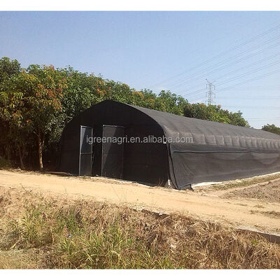 kaufen Single Span PE Shade Net Tunnel Blackout Gewächshäuser für Shiitake & Oyster & White Button Mushrooms online manufacture