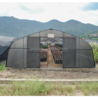 comprar Invernadero agrícola de túnel de plástico pequeño de una sola nave con cubierta de película plástica de PE para cultivo de champiñones estable online manufacture