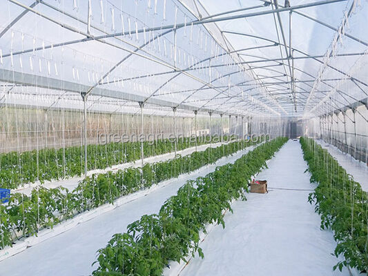 Mua Tomato and Strawberry Large Single Layer Multi-Span Agricultural Greenhouse Turnkey Project with PE Film Cover Green Brand (Dự án đóng cửa nhà kính nông nghiệp lớp duy nhất đa chiều dài với vỏ phim PE) online manufacture