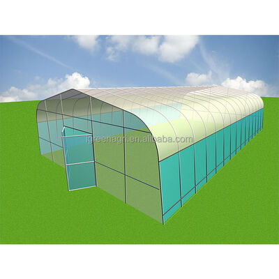 Beli Harga Murah Jual Panas Polytunnel Pertanian Berry Single-Span Rumah Kaca PE Film Cover Bunga Sayuran Menumbuhkan online manufacture