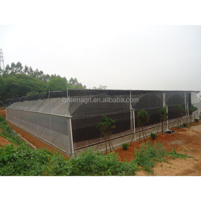 Buy Large Multi-Span PE Film Greenhouse with Single Layer for Hydroponic Tomato Plant Growth online manufacture