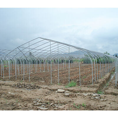 kopen Landbouwtomaten met een enkele overspanning online manufacture