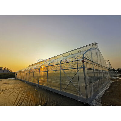 comprar IGreen Pequeno túnel de vegetais agrícolas tropicais Estufas 150/200microns PE Película de plástico de comprimento único Design para clima quente online manufacture