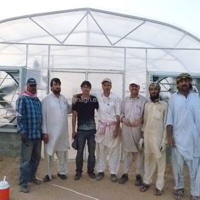 Buy IGreen Small Single Layer Agricultural Greenhouse with Film Cover for Middle East & Gulf Countries and Desert Climate online manufacture