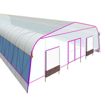 comprar Invernadero Agrícola de Túnel de Un Solo Tramo con Película de PE de Tamaño Pequeño y Alta Eficiencia para el Cultivo de Verduras y Flores online manufacture